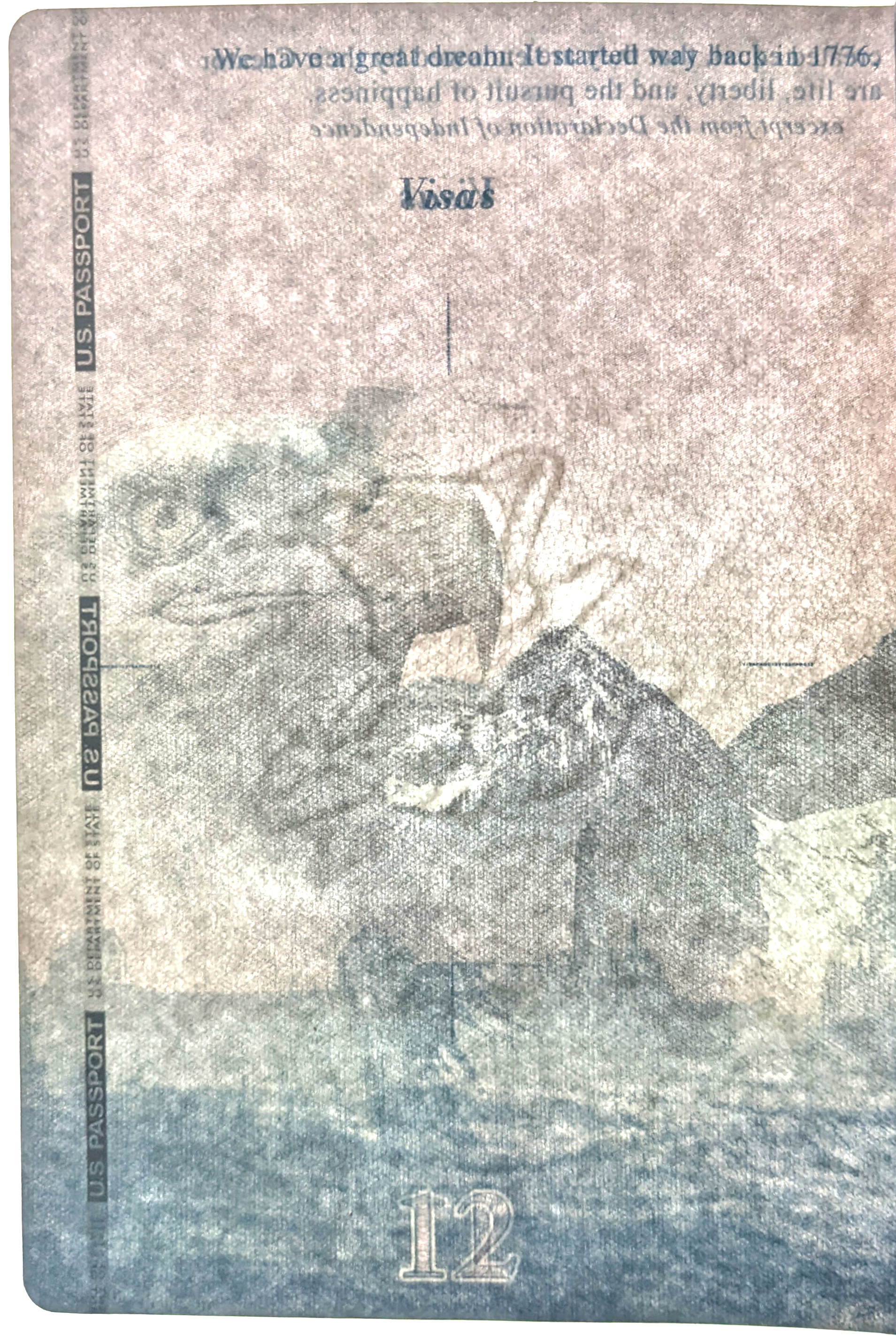 'Watermark showing an eagle